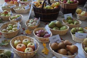 Lázeňský festival jablek                     