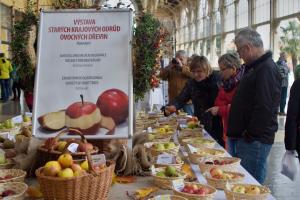 Festival jablek v Mariánských Lázních