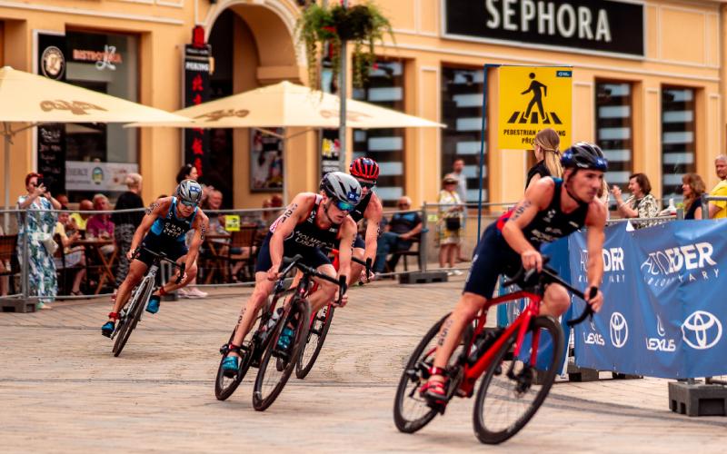 Mistrovství světa v olympijském triatlonu