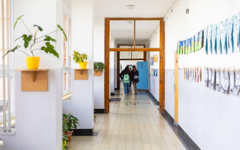 skola