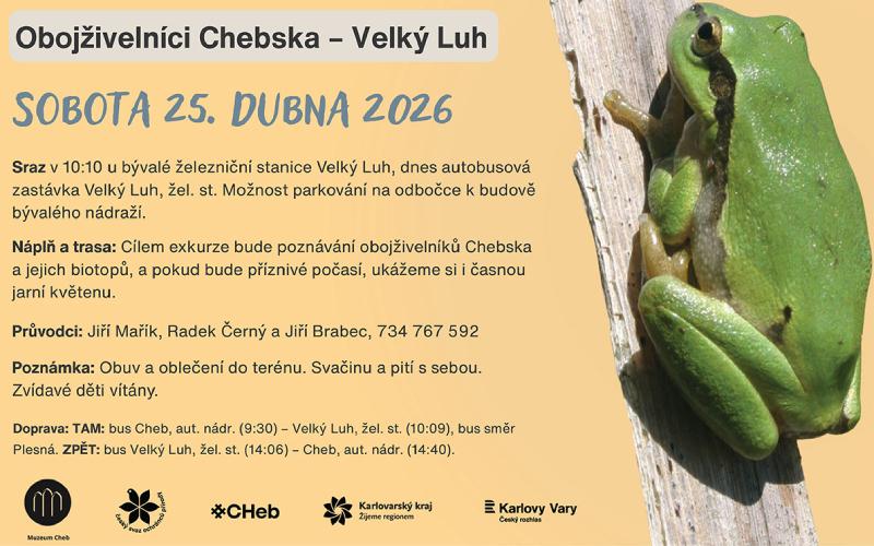 Vycházka