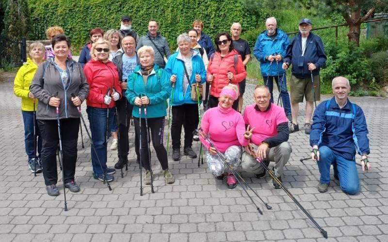 nordic-walking