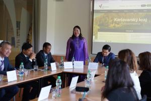Delegace