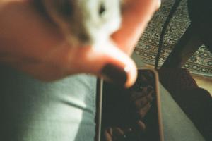 Fotografie
