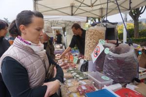 Jarmark regionálních potravin                            