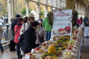 Festival jablek v Mariánských Lázních
