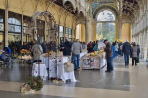 Festival jablek v Mariánských Lázních