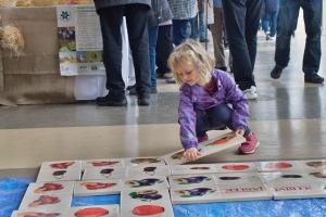 Doprovodný program pro děti 